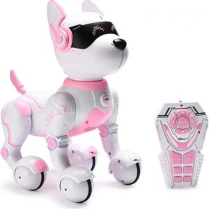 paw patrol robot dog